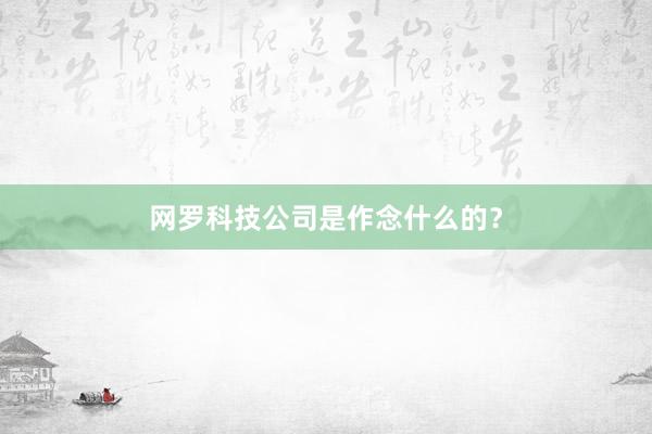 网罗科技公司是作念什么的？