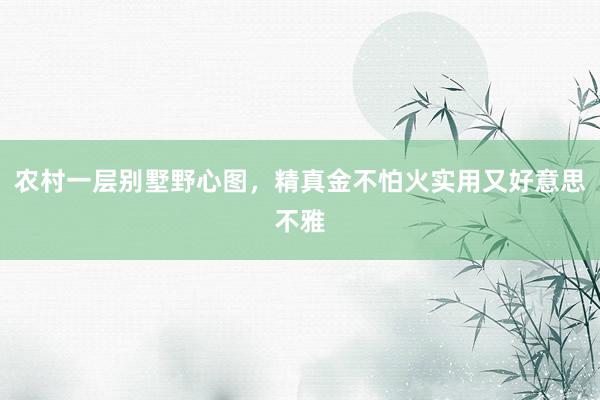 农村一层别墅野心图，精真金不怕火实用又好意思不雅