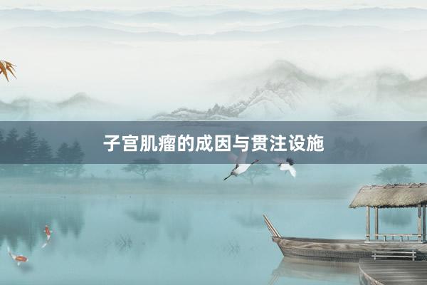 子宫肌瘤的成因与贯注设施
